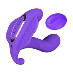 14cm Vibratore bluetooth impermeabile Sex Toy Vibrating Panties ricaricabili per donne
